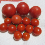 ２７日に収穫したトマト