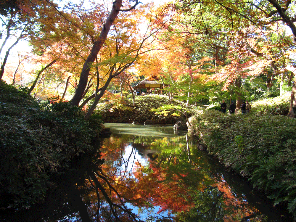 山陰橋からつつじ茶屋に向けての写真 こちらも水面に映る紅葉がきれい